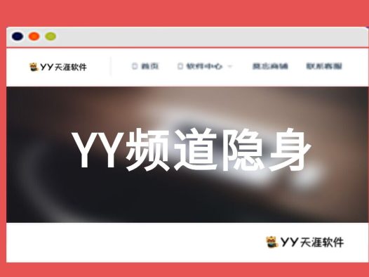 [收费软件]YY隐身工具
