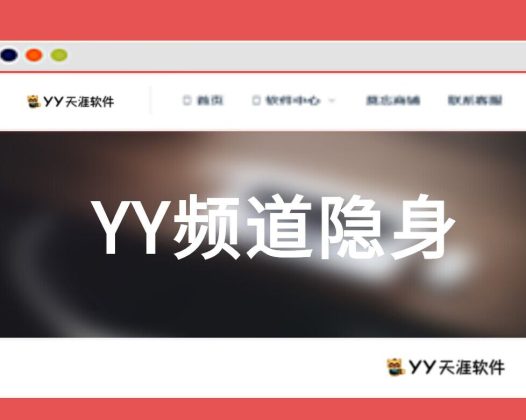 [收费软件]YY隐身工具